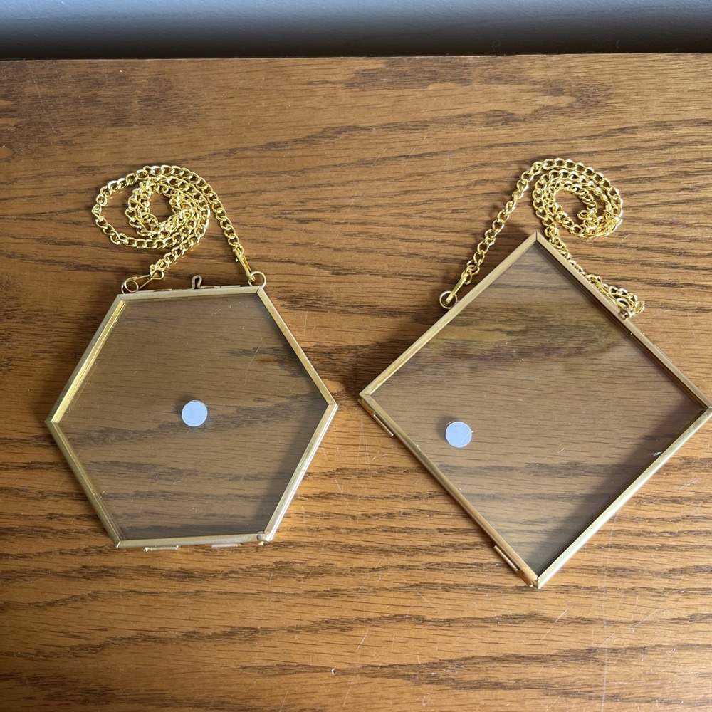 Metal Hinged Floating Frames Pressed Flowers Lot Of 2 Gold Tone Hexagon Diamond